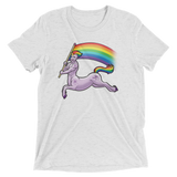 Pride Centaur (Retail Triblend)-Triblend T-Shirt-Swish Embassy