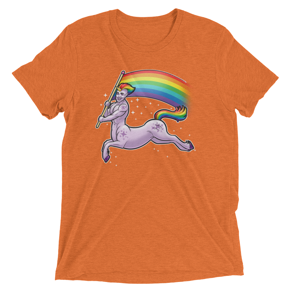 Pride Centaur (Retail Triblend)-Triblend T-Shirt-Swish Embassy