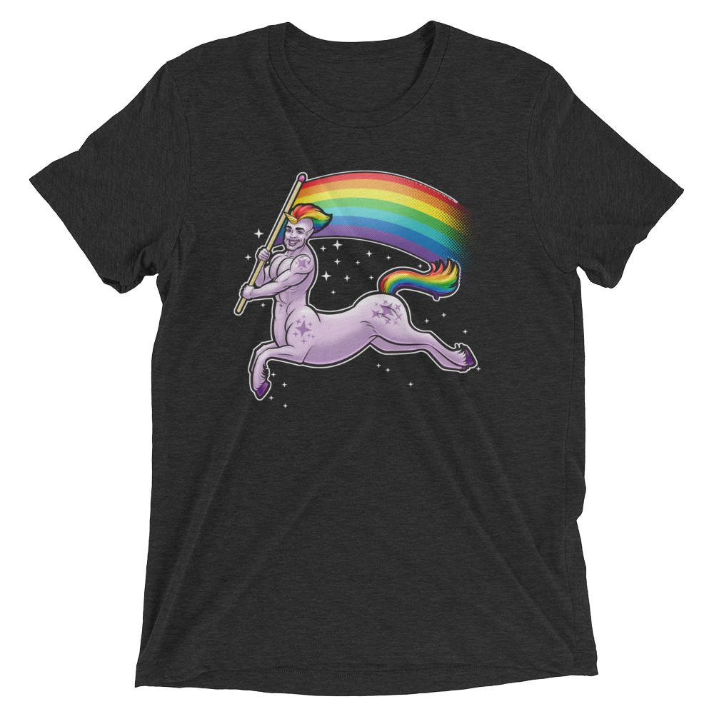 Pride Centaur (Retail Triblend)-Triblend T-Shirt-Swish Embassy