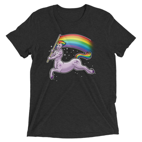 Pride Centaur (Retail Triblend)-Triblend T-Shirt-Swish Embassy