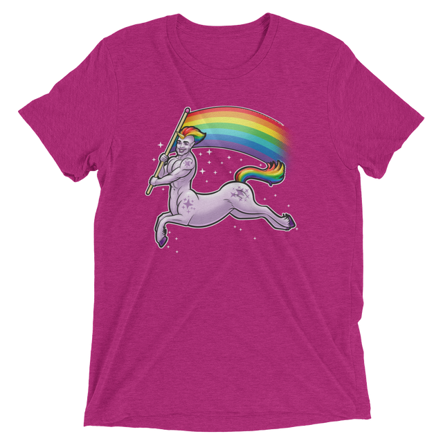 Pride Centaur (Retail Triblend)-Triblend T-Shirt-Swish Embassy