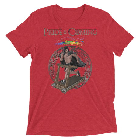 Pride is Coming (Retail Triblend)-Triblend T-Shirt-Swish Embassy