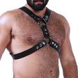 Silverlake (Harness)-Leather-Swish Embassy