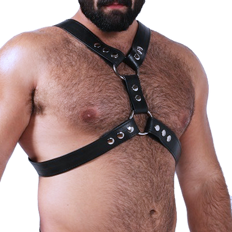 Silverlake (Harness)-Leather-Swish Embassy