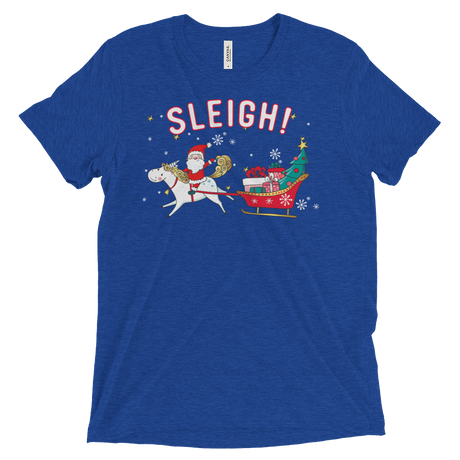 Sleigh! (Retail Triblend)-Triblend T-Shirt-Swish Embassy