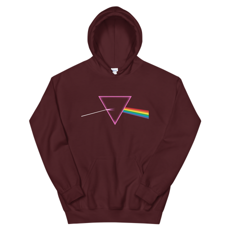 The Pride Prism (Hoodie)-Hoodie-Swish Embassy