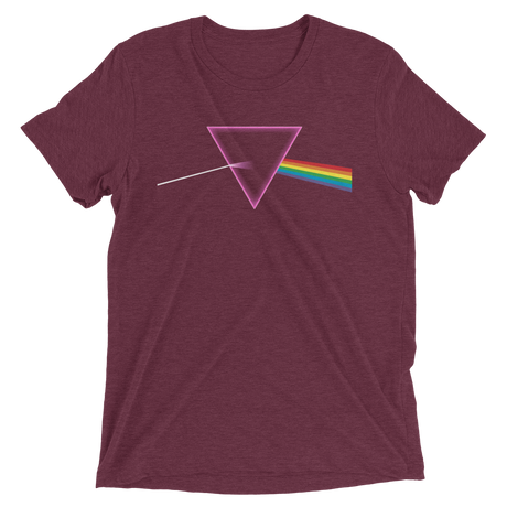 The Pride Prism (Retail Triblend)-Triblend T-Shirt-Swish Embassy