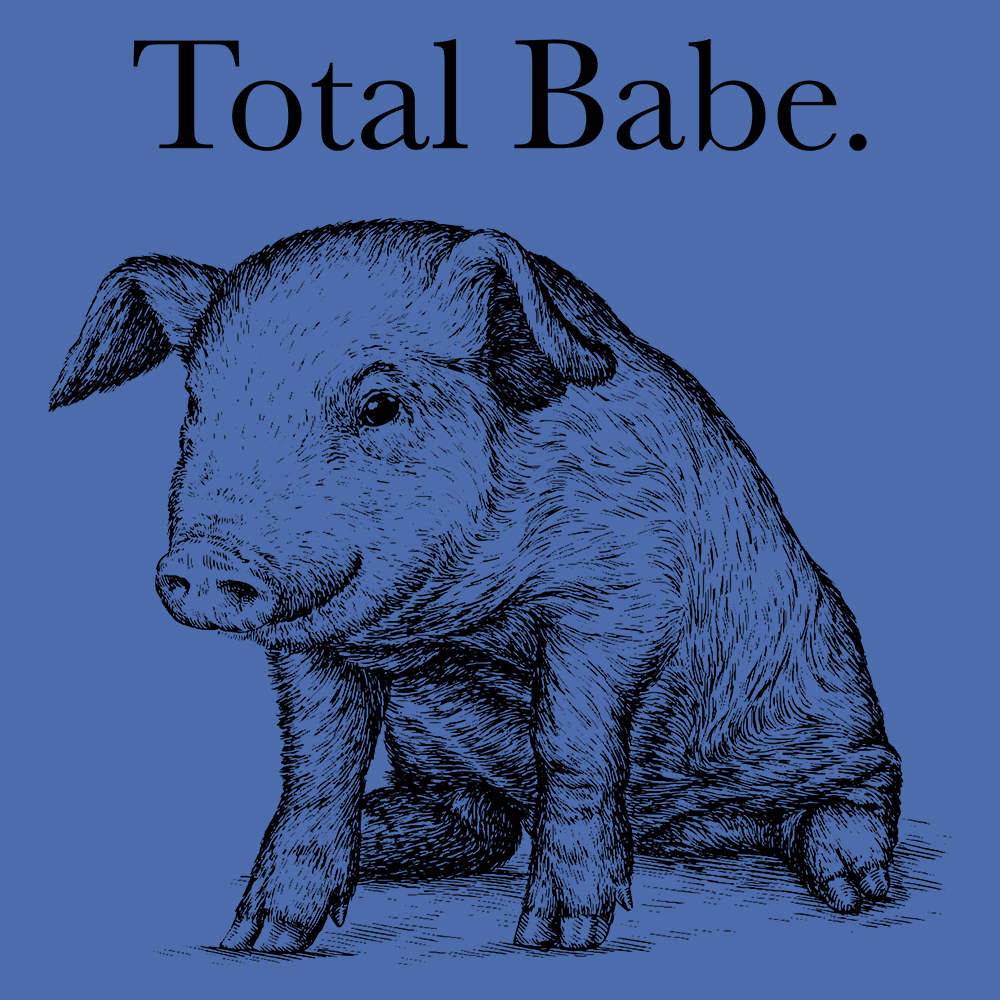 Total Babe-T-Shirts-Swish Embassy