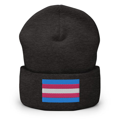 Trans Pride (Beanie)-Beanie-Swish Embassy