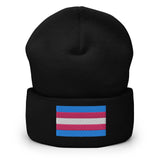 Trans Pride (Beanie)-Beanie-Swish Embassy