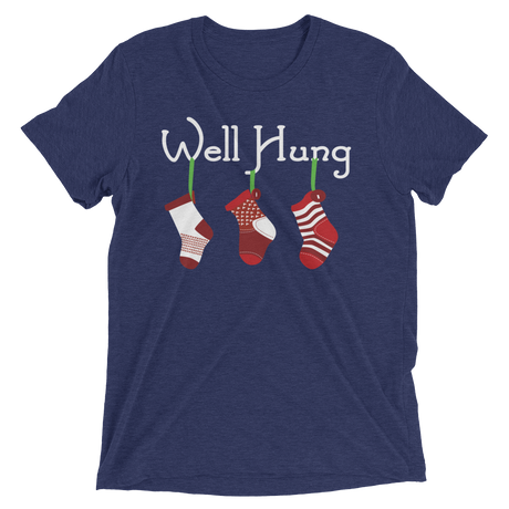 Well Hung Stockings (Retail Triblend)-Triblend T-Shirt-Swish Embassy