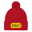 Into? (Beanie)-Beanie-Swish Embassy