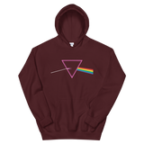 The Pride Prism (Hoodie)-Hoodie-Swish Embassy